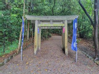 津八幡宮の参拝記録(ロビンさん)