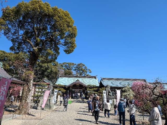 結城神社の参拝記録8