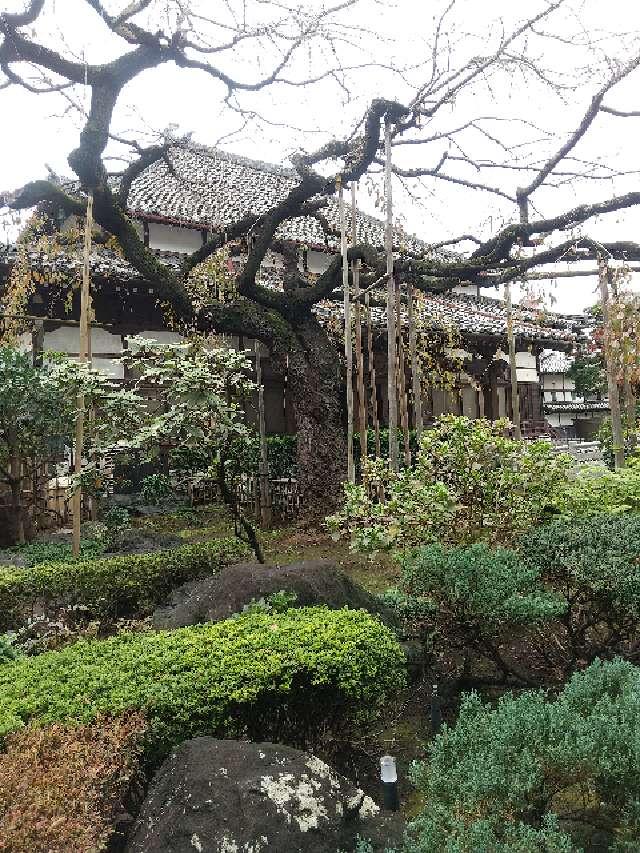 埼玉県さいたま市浦和区仲町2-13-22 宝珠山 玉蔵院 延命寺の写真3