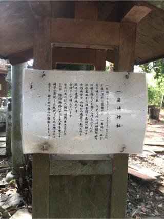 千王神社の参拝記録(ちび龍さん)