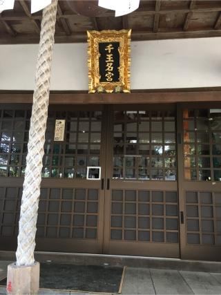 千王神社の参拝記録(ちび龍さん)