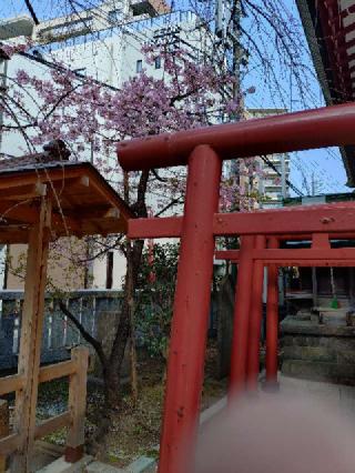 明光山大善院の参拝記録(ひなじろうさん)