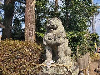 小川神社の参拝記録(飛成さん)