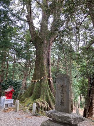 水屋神社の参拝記録(rinaさん)