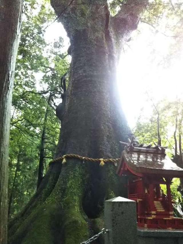 三重県松阪市飯高町赤桶 2507 水屋神社の写真3