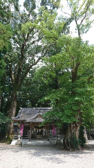 水屋神社の参拝記録(まさやんさん)