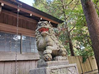 竹大與杼神社の参拝記録(飛成さん)