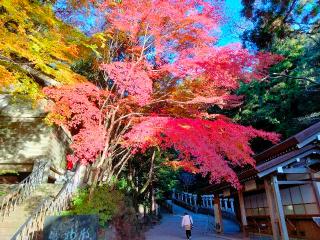 北畠神社の参拝記録(メダカオヤジさん)