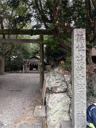 箕曲中松原神社の参拝記録(⛩️🎠🐢まめ🐢🎠⛩️さん)