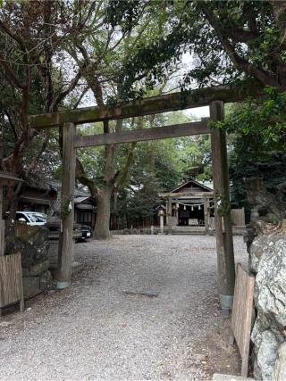 箕曲中松原神社の参拝記録(⛩️🎠🐢まめ🐢🎠⛩️さん)