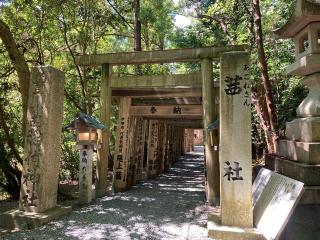 茜社の参拝記録(恭子さん)