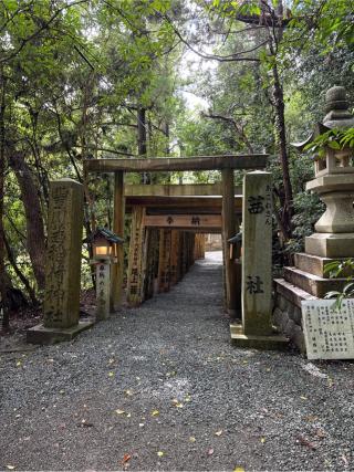 茜社の参拝記録(⛩️🐍🐢まめ🐢🐍⛩️さん)