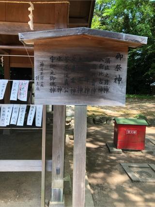 河邊七種神社の参拝記録(こーちんさん)