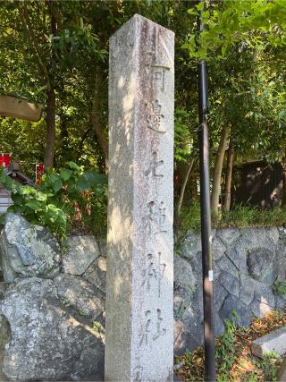 河邊七種神社の参拝記録(⛩️🐍🐢まめ🐢🐍⛩️さん)