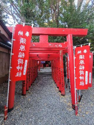 須原大社の参拝記録(にゃんこさん)