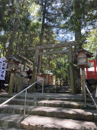 宇治神社(足神神社)の参拝記録(⛩️🐍🐢まめ🐢🐍⛩️さん)