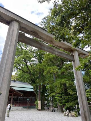 猿田彦神社の参拝記録(⛩️🎠🐢まめ🐢🎠⛩️さん)