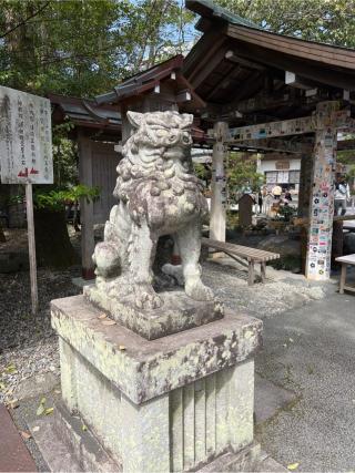 猿田彦神社の参拝記録(⛩️🎠🐢まめ🐢🎠⛩️さん)