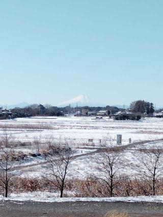龍澤山宝国寺の参拝記録(太郎左さん)