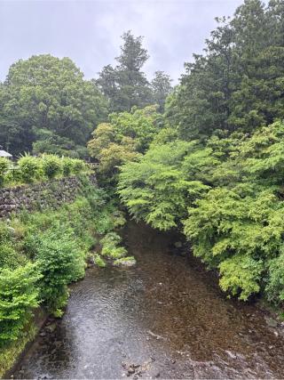 頭之宮四方神社の参拝記録(⛩️🎠🐢まめ🐢🎠⛩️さん)