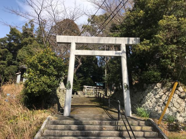 大山祇神社の参拝記録3