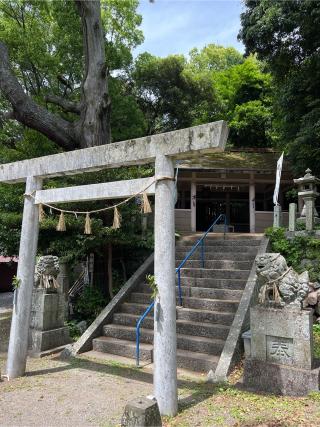 大山祇神社の参拝記録(⛩️🎠🐢まめ🐢🎠⛩️さん)