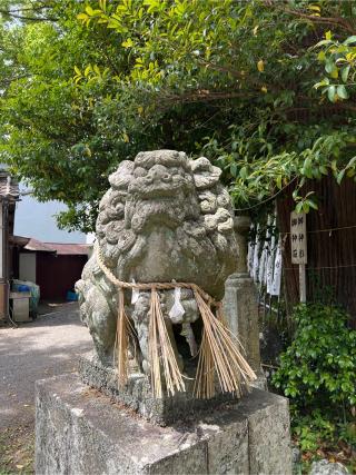 大山祇神社の参拝記録(⛩️🎠🐢まめ🐢🎠⛩️さん)
