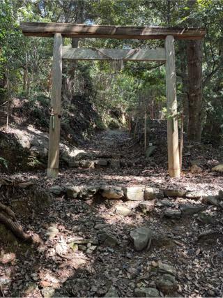 伊射波神社の参拝記録(こーちんさん)