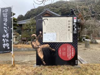 春日神社の参拝記録(rinaさん)