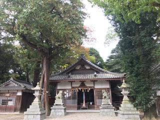 植木神社の参拝記録(じゃすてぃさん)