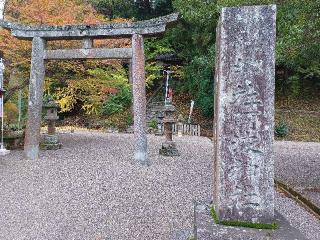 阿波神社の参拝記録(銀玉鉄砲さん)