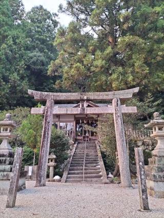 葦神社の参拝記録(伍玖さん)