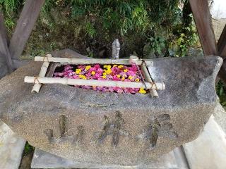 平井神社の参拝記録(銀玉鉄砲さん)