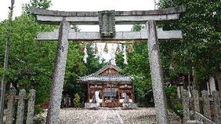 平井神社の参拝記録(まふふさん)