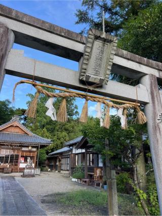 平井神社の参拝記録(⛩️🐍🐢まめ🐢🐍⛩️さん)