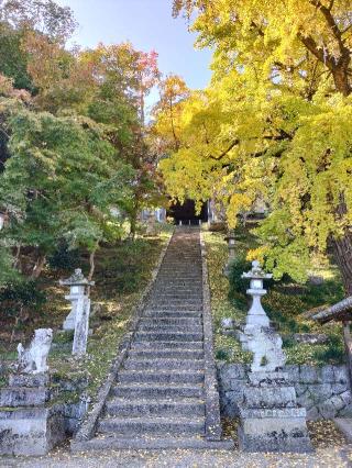 射手神社の参拝記録(伍玖さん)
