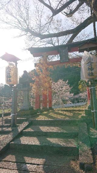 高倉神社の参拝記録(いそぞーさん)
