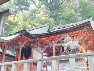 高倉神社の参拝記録(伍玖さん)