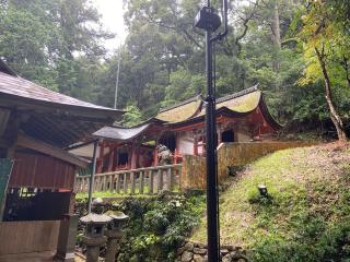 高倉神社の参拝記録(みつをさん)