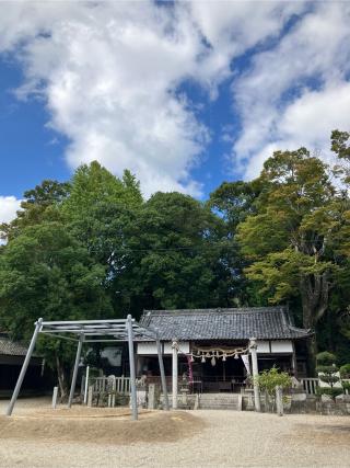 波多岐神社の参拝記録(コニさん)