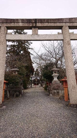 府中神社の参拝記録(いそぞーさん)