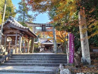 宇流冨志禰神社の参拝記録(伍玖さん)