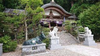 杉谷神社の参拝記録(いそぞーさん)