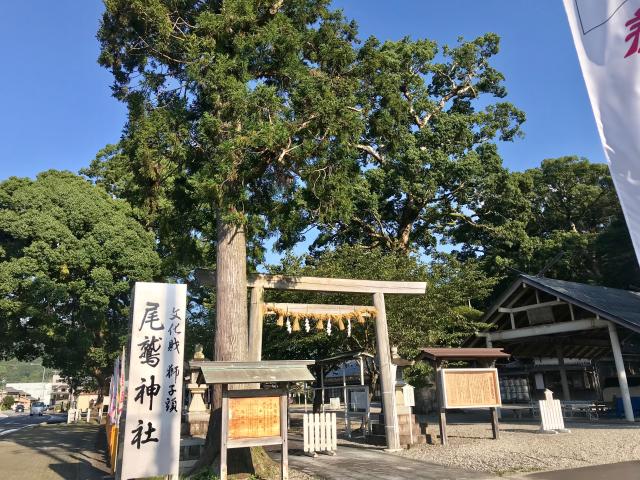 尾鷲神社の参拝記録3