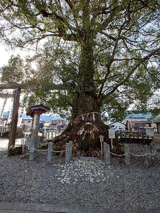 尾鷲神社の参拝記録(トモさん)