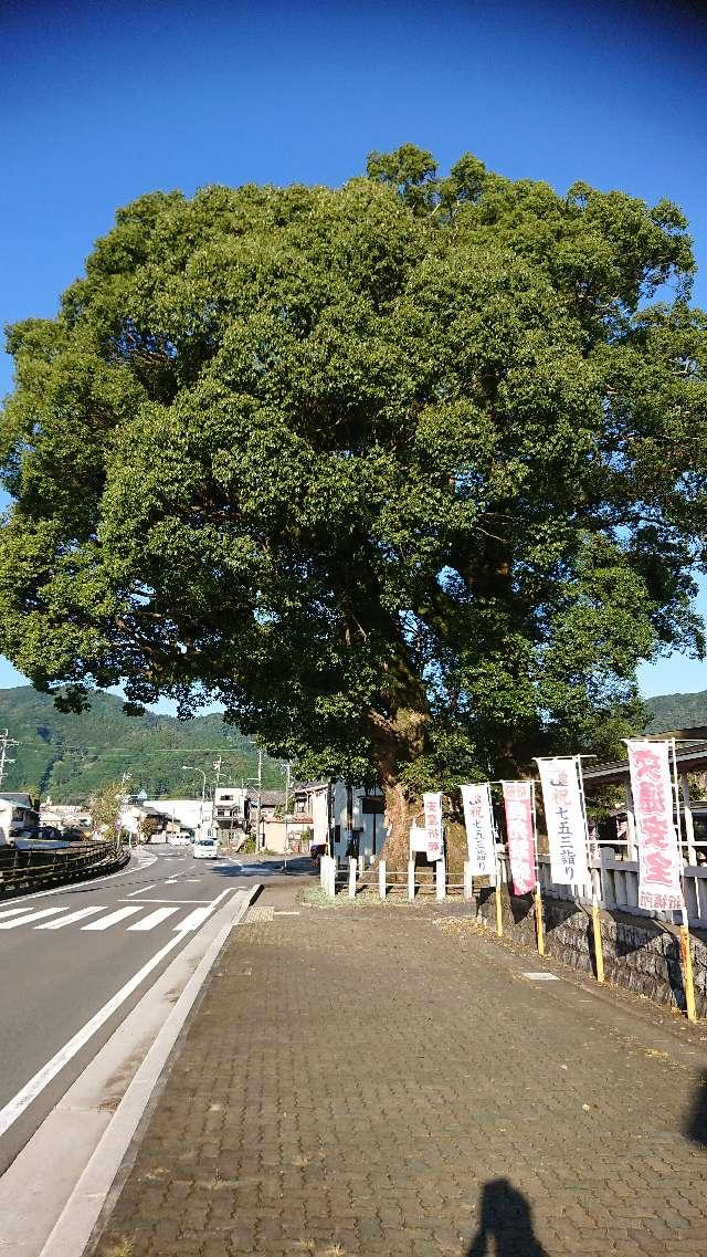 三重県尾鷲市北浦町 12-5 尾鷲神社の写真5