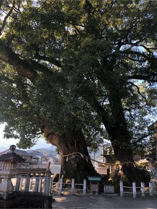 尾鷲神社の参拝記録(ヒデさん)