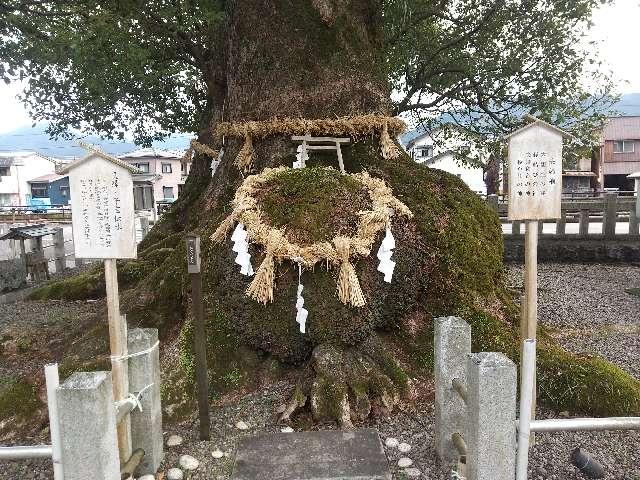 三重県尾鷲市北浦町 12-5 尾鷲神社の写真8