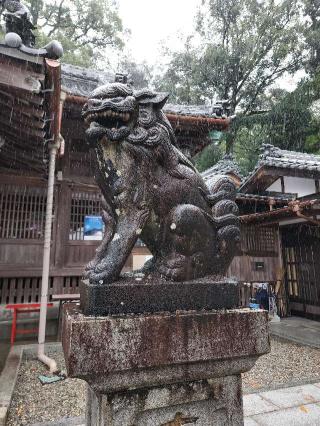 尾鷲神社の参拝記録(いそぞーさん)