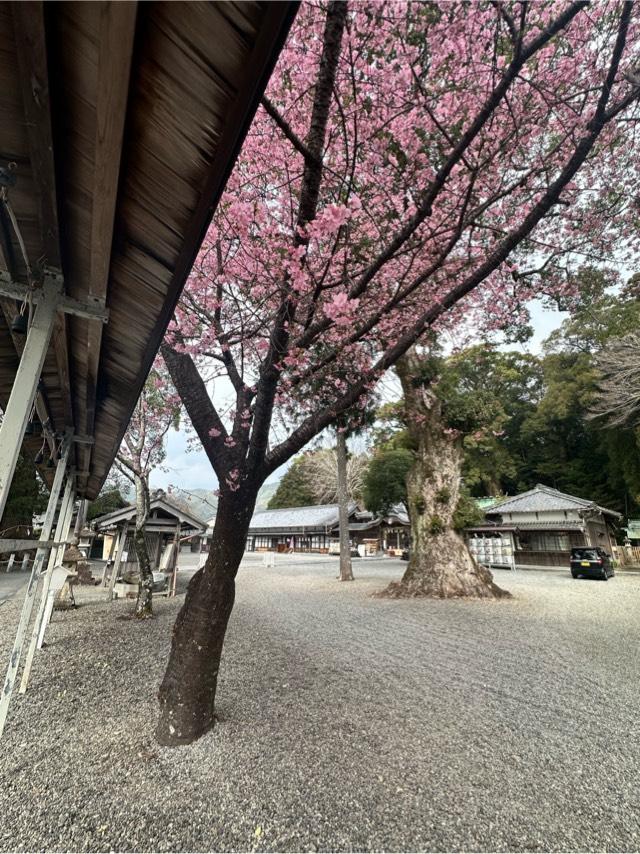 尾鷲神社の参拝記録6